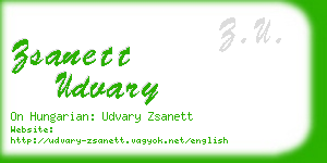 zsanett udvary business card